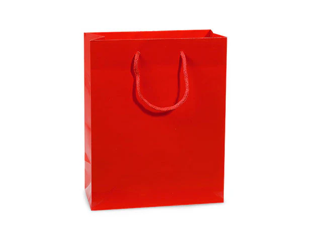 Heavyweight Paper Gift Bag (Various Colors) - Image 4
